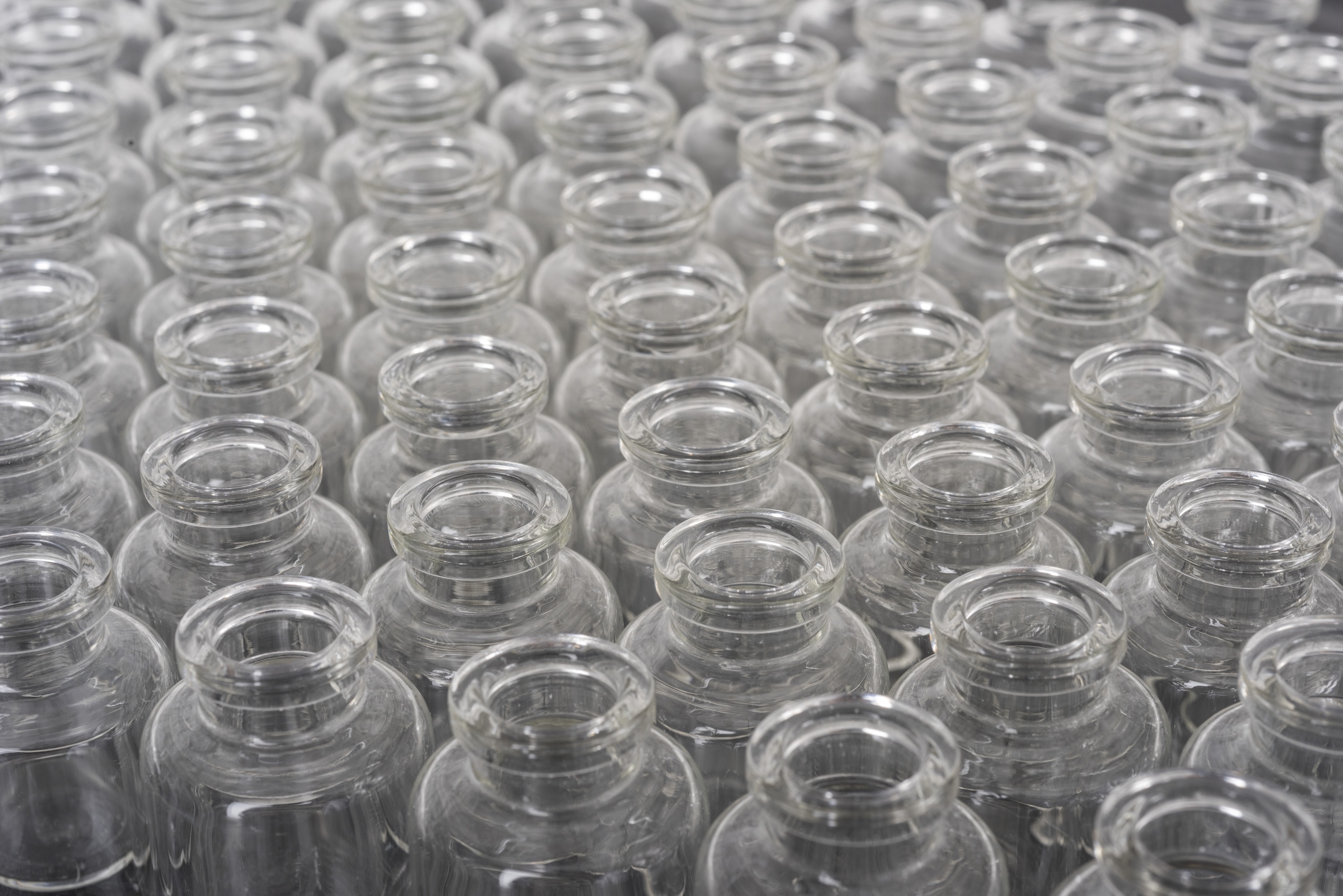 Rows of glass bottles without caps.